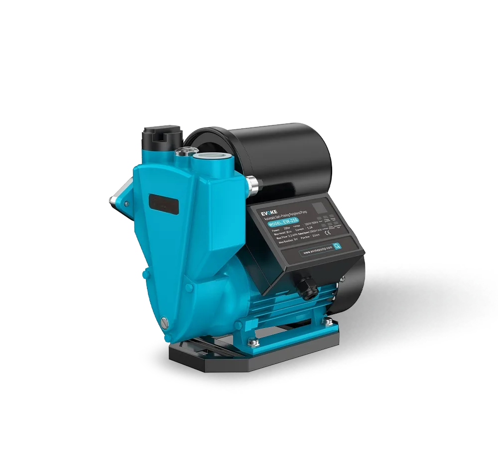 EW Intelligent variable frequency pump